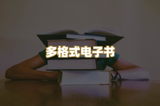 多格式电子书